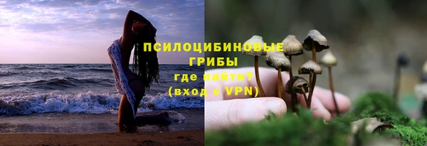 дмт Арсеньев
