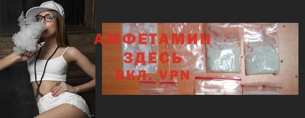 индика Струнино