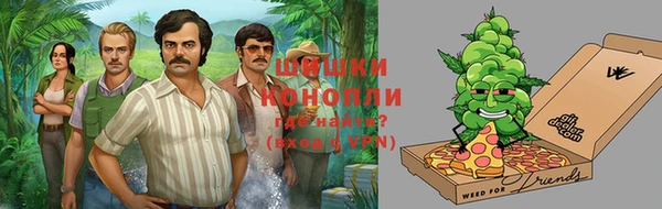 дмт Арсеньев