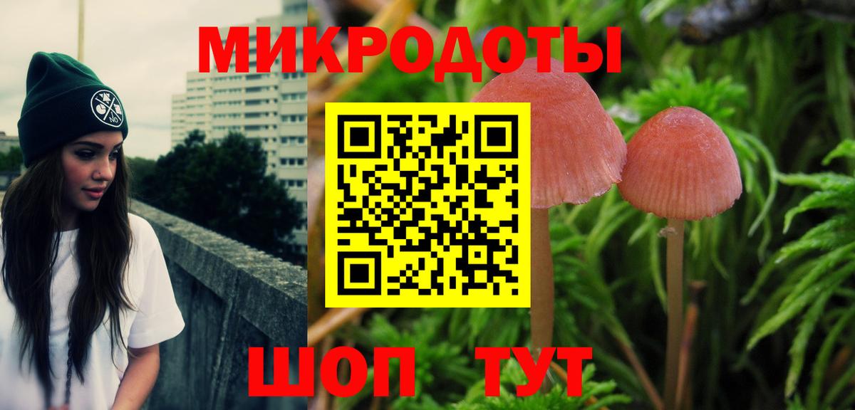 Псилоцибиновые грибы Cubensis Томск